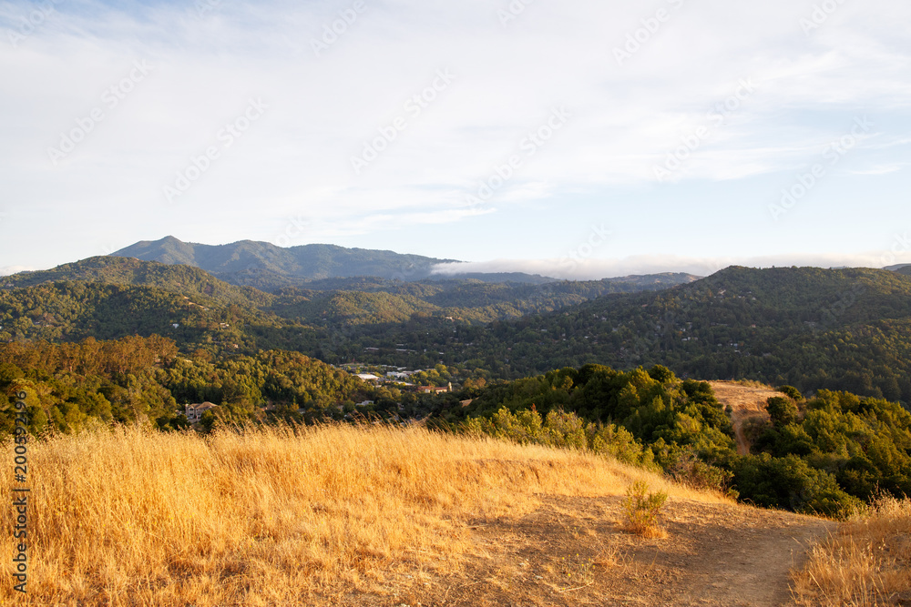 Naklejka premium Looking down on the small town of Fairfax in a sea of gold and green