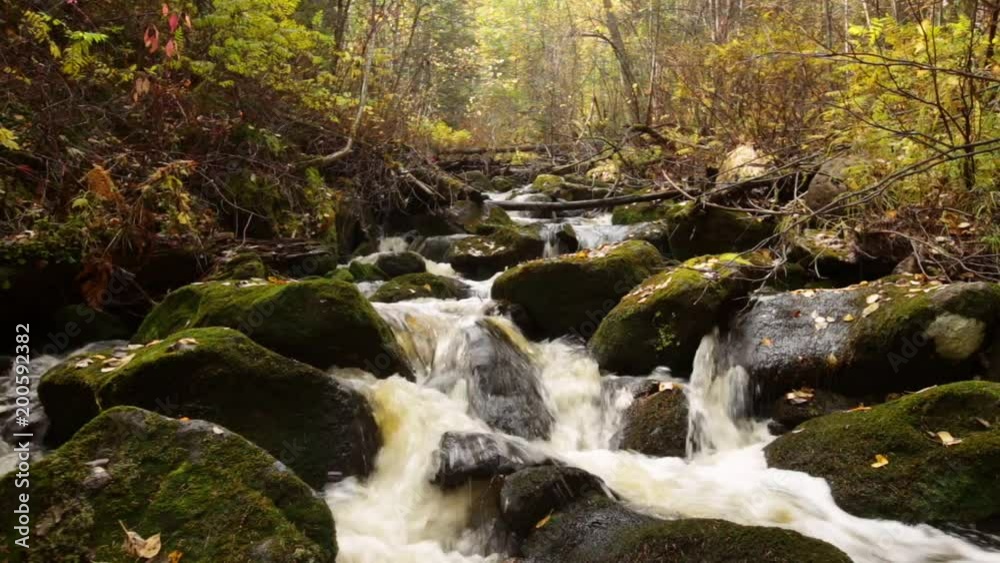 Water roll on the river Bikin, Primorsky Krai, Russia Water roll on the river Bikin, Primorsky Krai, Russia