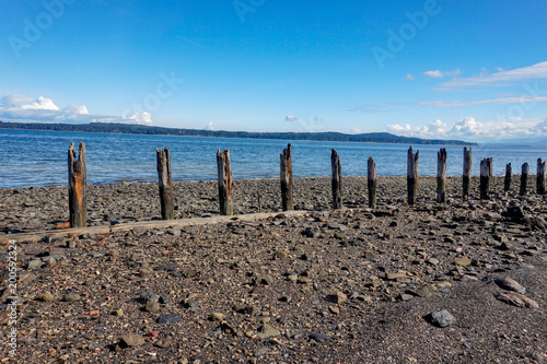 Union Bay  Coal Hills  Vancouver Island  British Columbia  Canada.The remains of Dunsmuir   s Coal terminal.