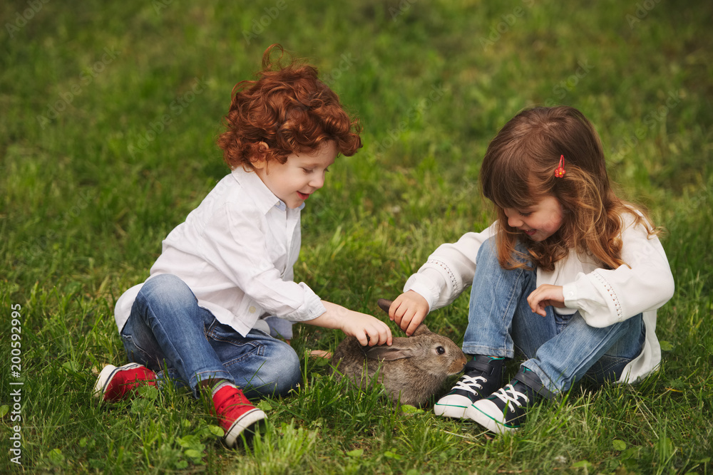 boy and girl playing with rabbit in park boy and girl playing with rabbit in park