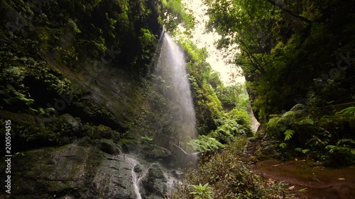 the Lindens waterfall, jungle scenery with giant ferns and big falling water, on the island of La Palma, Canary Islands, Spain. photo