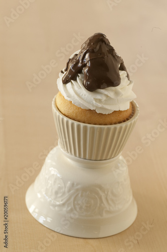 vanilla cupcake with vanilla and chocolate frosting photo