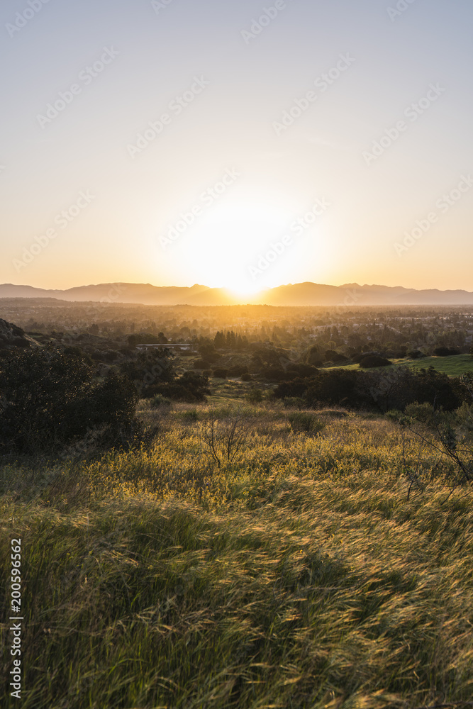 Vertical sunrise view of spring meadow at Santa Susana State Historic Park in the San Fernando Valley area of Los Angeles, California.  
