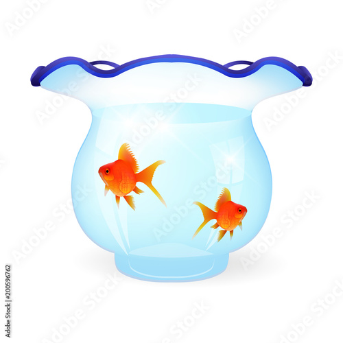金魚　夏　水　アイコン 