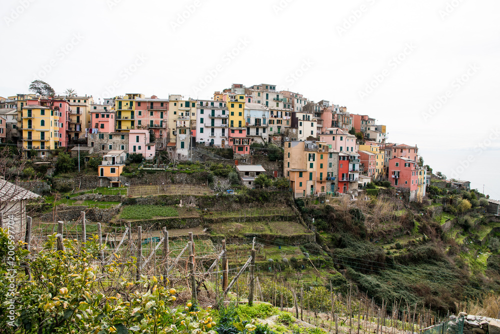 Fototapeta premium チンクエテッレ～険しいリグーリア海岸の5つの村（イタリア・リグーリア州） コルニリア