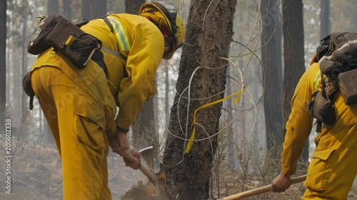 Firefighters Clearing Burnt Embers During Forest Fire