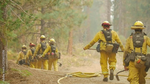 Hotshot Crew Hikes Along Fire Line Forest Fire