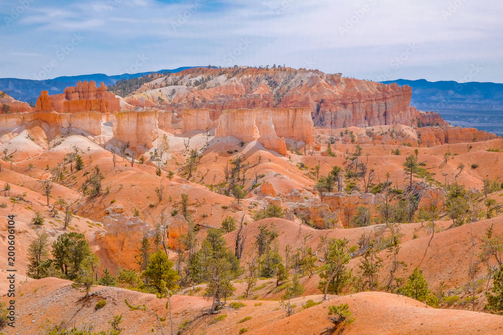 Fototapeta premium Park Narodowy Bryce Canyon