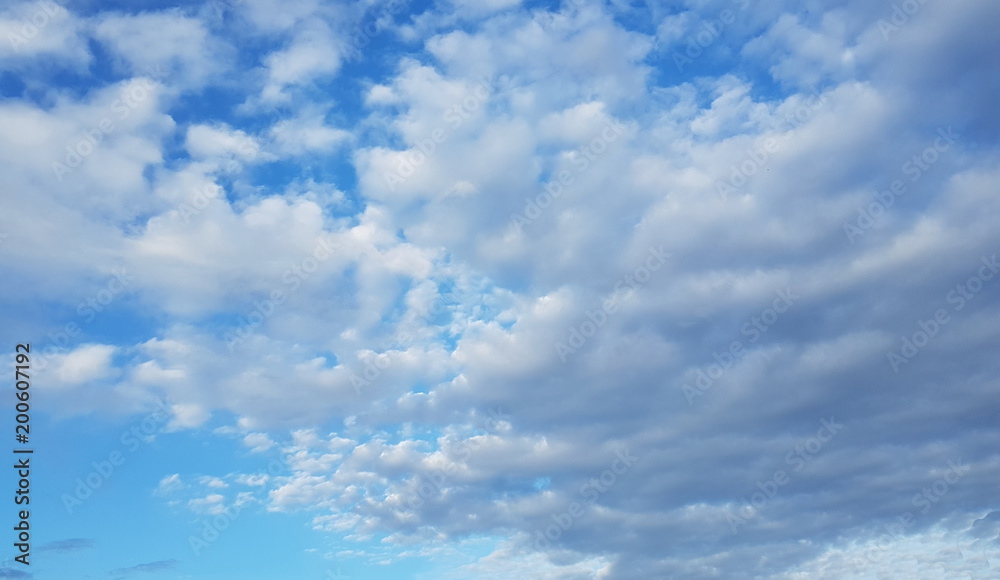 Obraz premium Blanc sur Bleu