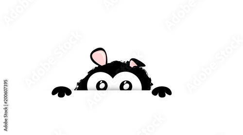 freeke Bär