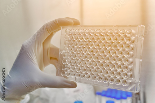 Screening the cell cytotoxicity by MTT assay in 96well plate. Mtt is used to study the cell viability measure of cellular activity as an indicator of cell damage or cytotoxicity.  photo