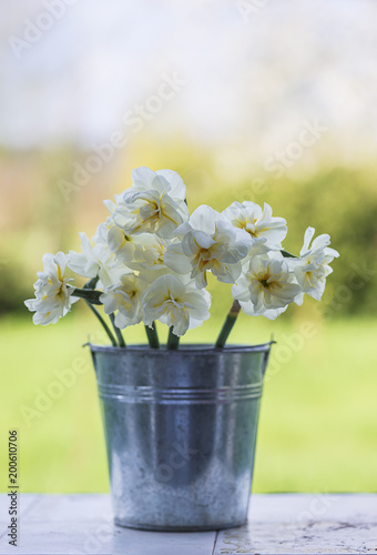 Fototapeta Naklejka Na Ścianę i Meble -  Bouquet of white daffodils