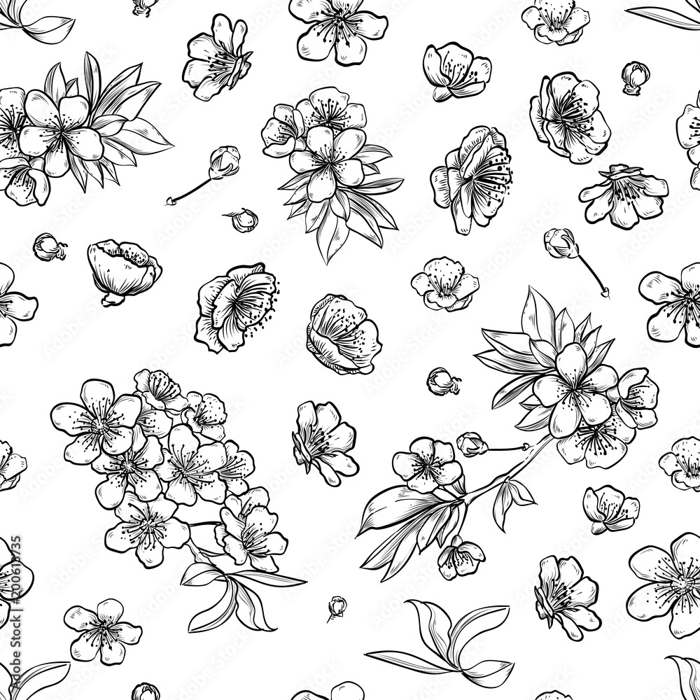 Vector sakura seamless pattern of flowers