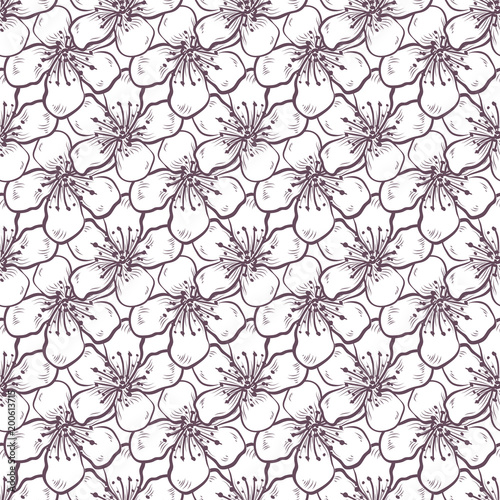 Vector sakura seamless pattern of flowers