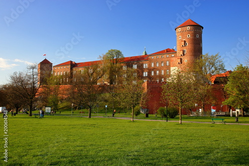 Widok na zamek królewski na Wawelu, Kraków, Polska, z parku, wczesna wiosna, trawa, drzewa z pierwszymi listkami, błękitne niebo, spacerujący ludzie