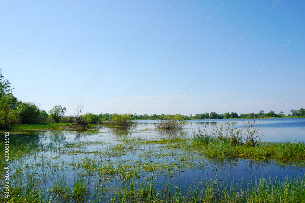 The unique Polesye swamps of Belarus are the lungs of Europe. The background