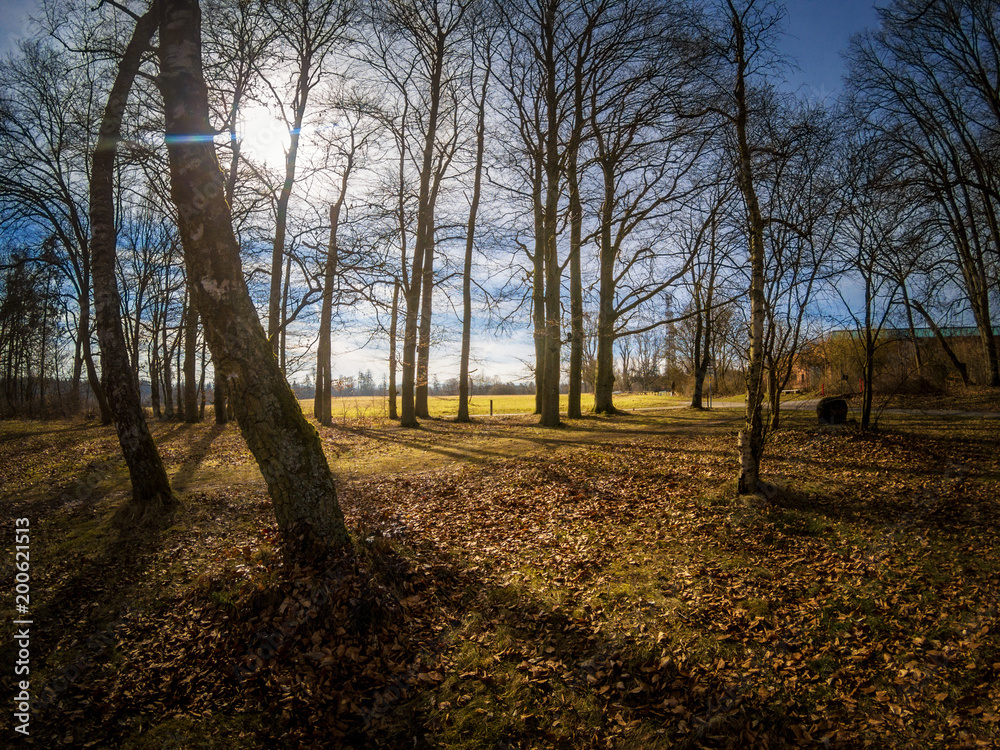 Fototapeta premium Beautiful nature and park scene in spring