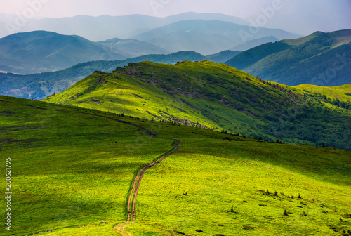 Εκτύπωση καμβά path through grassy meadow on hillside