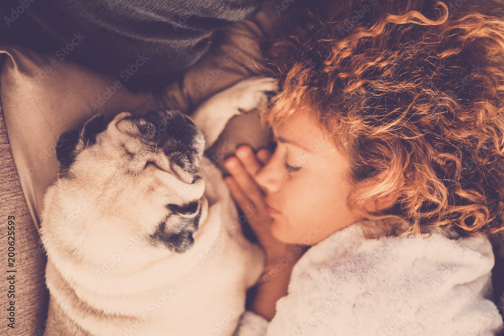 nice couple woman and pug dog sleep together and protect themselves nice couple woman and pug dog sleep together and protect themselves