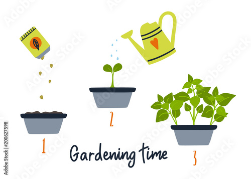 Line sprout and plant growing. Gardening illustration. Timeline infographic of planting process.