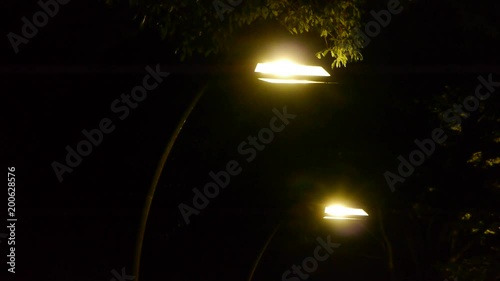 夜の公園