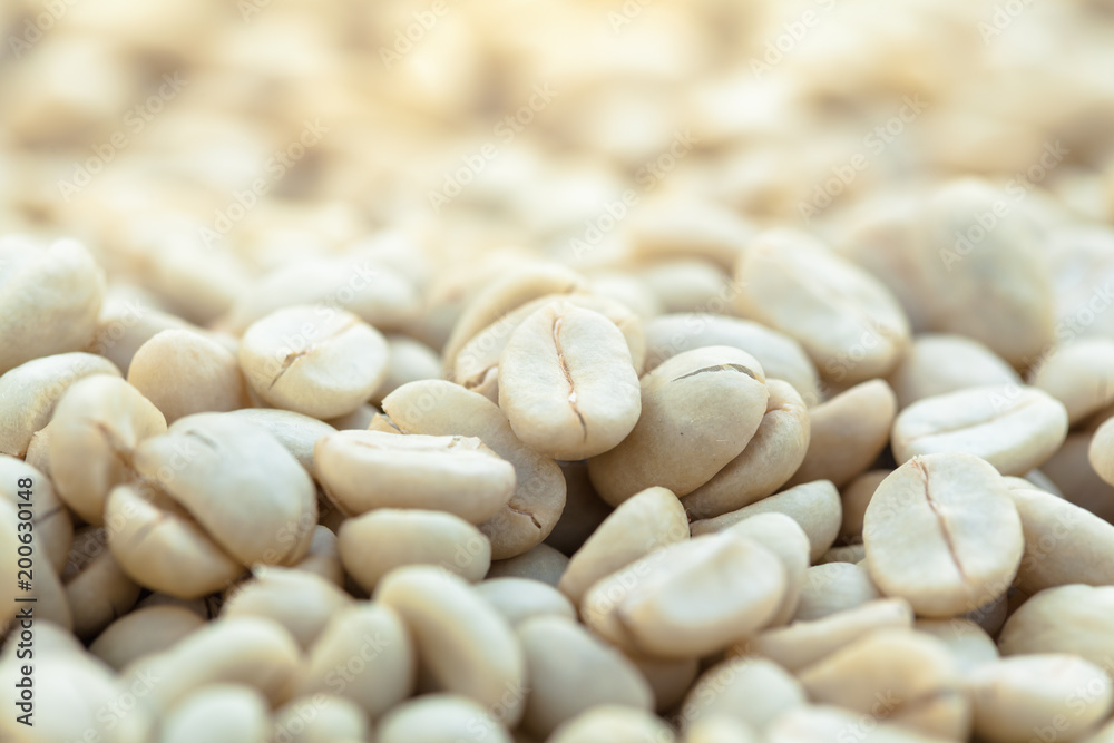 Dried coffee beans Dried coffee beans