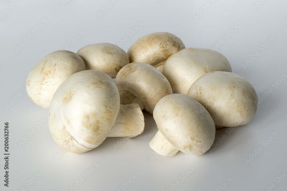 White champignons isolated. Fresh beautiful mushrooms. White champignons isolated. Fresh beautiful mushrooms.