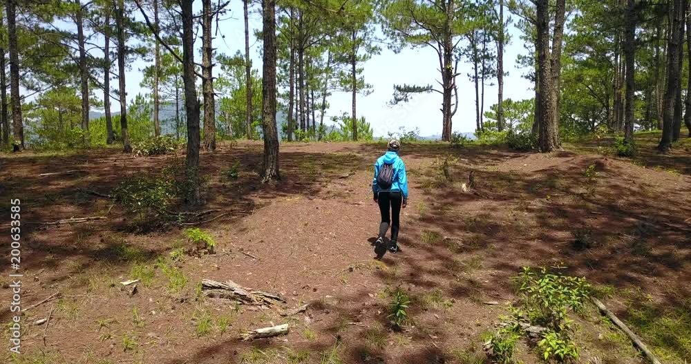 Hiker woman is rising her hands admiring beautiful views overlooking on the forest lands of pines and firs Hiker woman is rising her hands admiring beautiful views overlooking on the forest lands of pines and firs