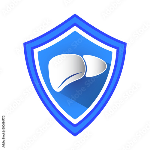 Liver Protection Shield Vector Icon.