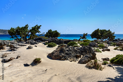 Fototapeta Naklejka Na Ścianę i Meble -  Kedrodasos Beach, Crete, Greece
