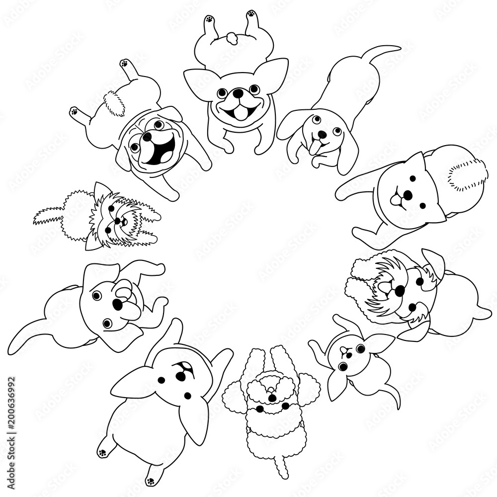lying small dogs looking up circle