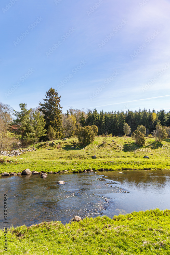 Obraz premium River flowing through the landscape with a forest