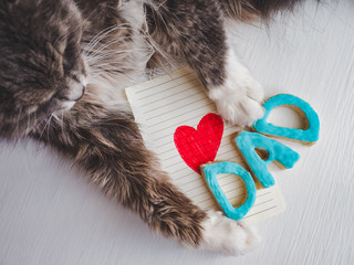Lovely cat's paws, greeting card with painted, red heart, word DAD on white, isolated background. Congratulation to the father. Preparation for Father's Day