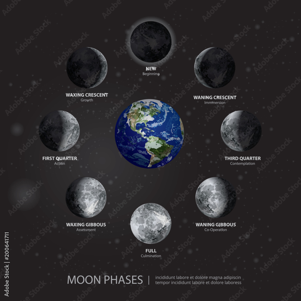 Obraz premium Movements of the Moon Phases Realistic Vector Illustration