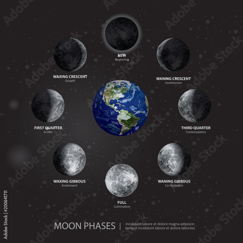 Movements of the Moon Phases Realistic Vector Illustration