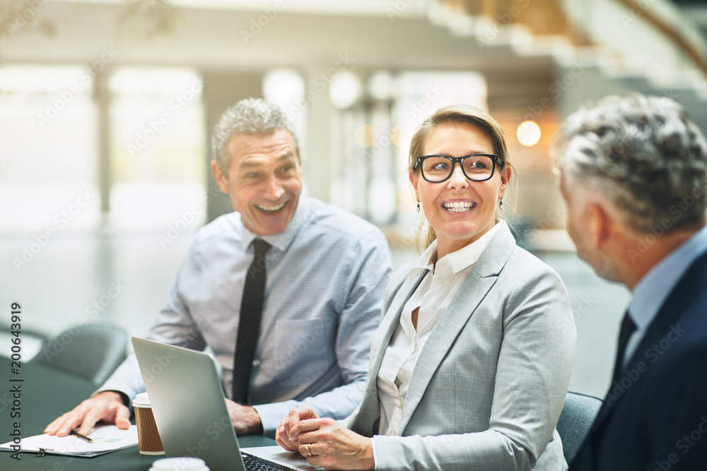 Smiling mature businesspeople working together in a modern offic Smiling mature businesspeople working together in a modern offic