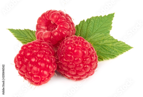 raspberries isolated on white background