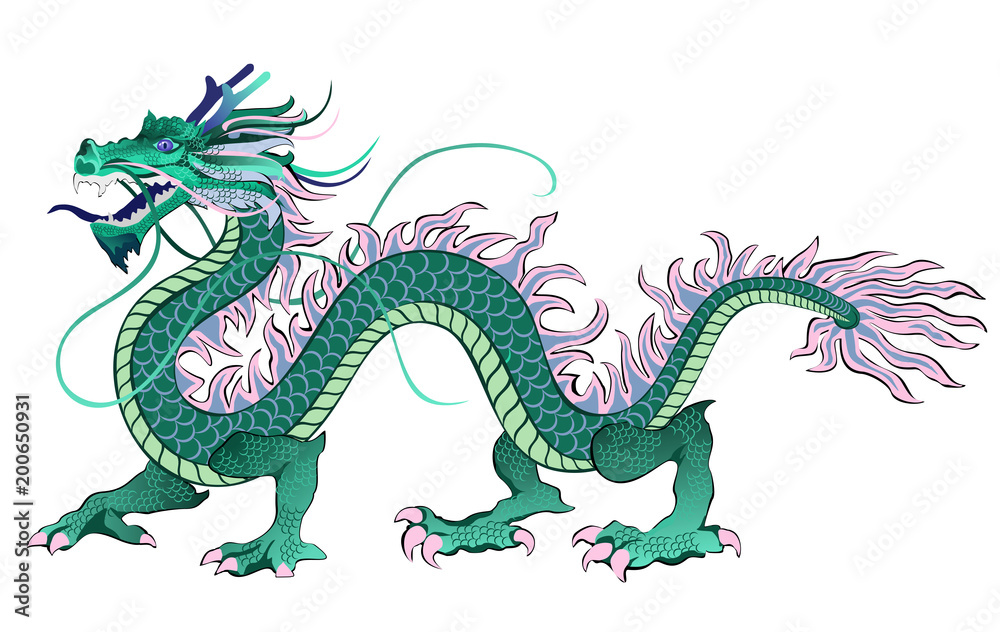 Fototapeta premium Chinese dragon. Vector illustration isolated on white background.