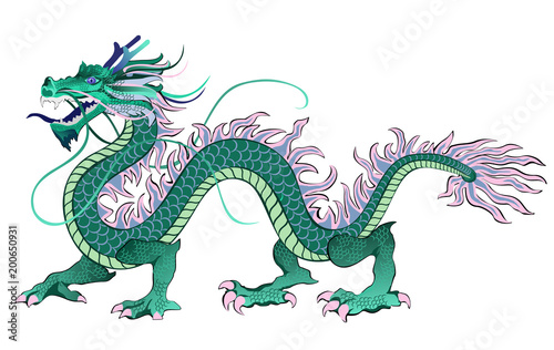Chinese dragon. Vector illustration isolated on white background.