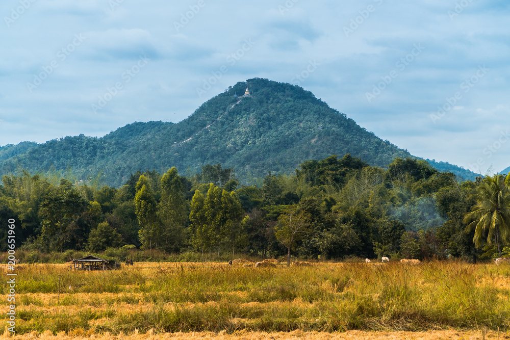 Naklejka premium Lifestyle of countryside