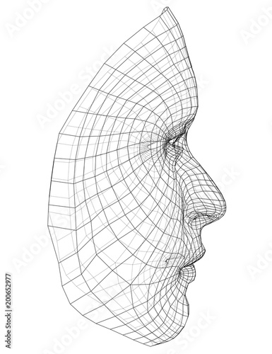 Wire-frame abstract human face
