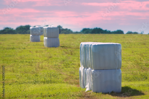 Hay clean and covered with safety film (vacuum packing) photo