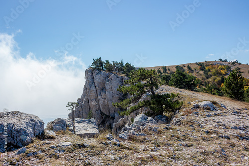 The south coast of Crimea. At the top of the Ai-Petri mountain  Crimea  