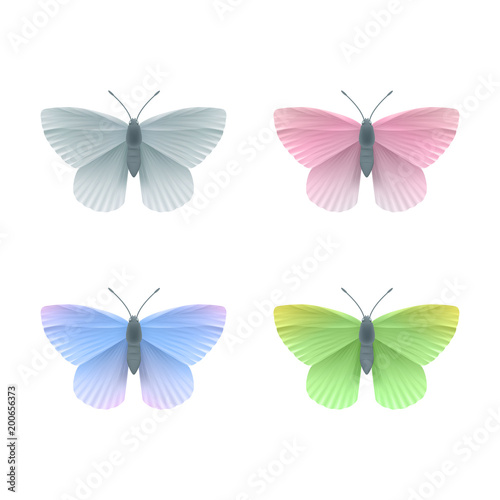 Vector Butterflies Set © Nadezda Kostina