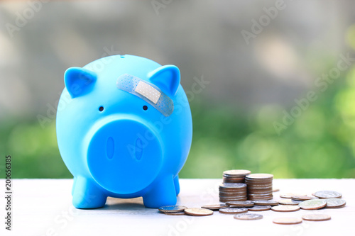 Blue piggy attached to the plaster on the head natural green background,Save money for Medical insurance and Health care concept. photo