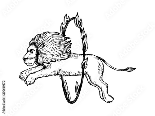 Circus lion jumps into fire ring engraving vector