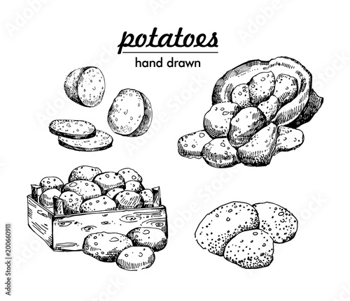 potatoes set. bag of potatoes and box. hand drawn vector illustrations