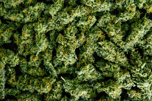 Background of flower buds cannabis, marijuana, weed top view copy spase