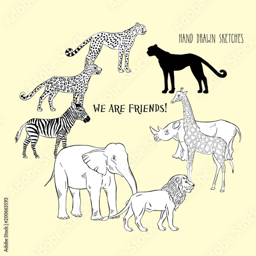Zoo animals background with savanna animals