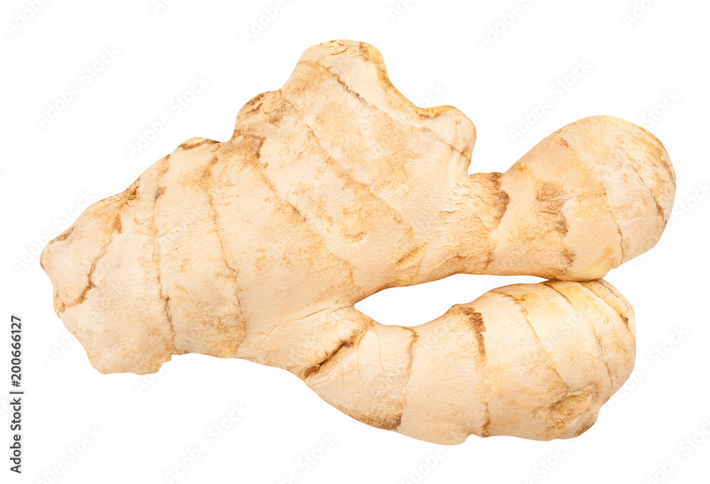 ginger ginger